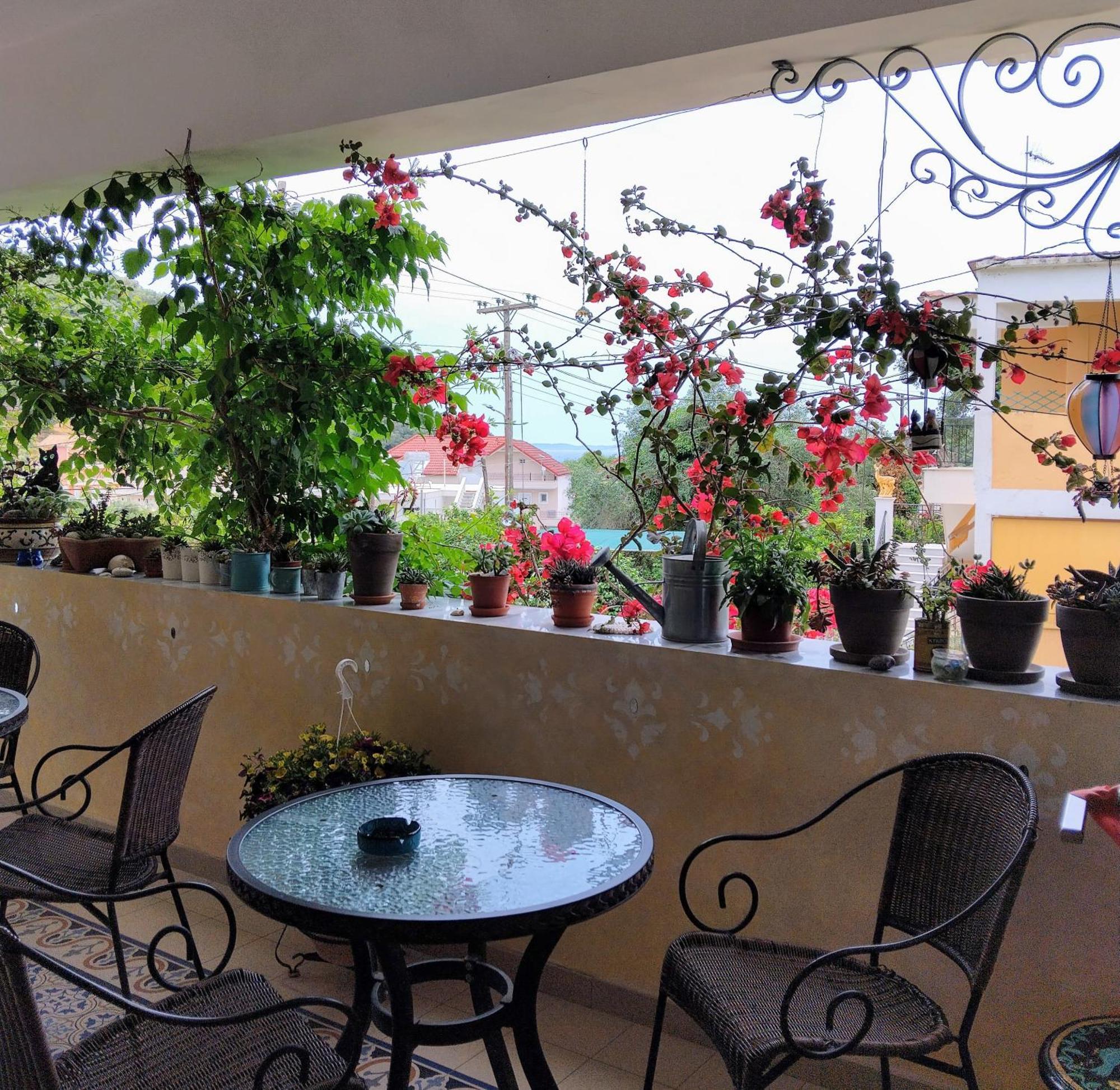 Harmony Resort ปาร์กา ภายนอก รูปภาพ