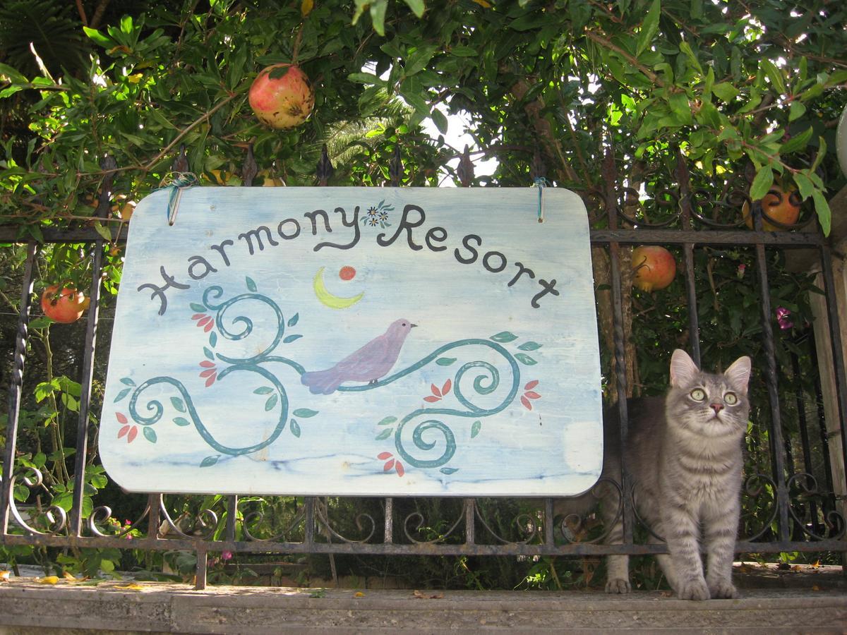 Harmony Resort ปาร์กา ภายนอก รูปภาพ
